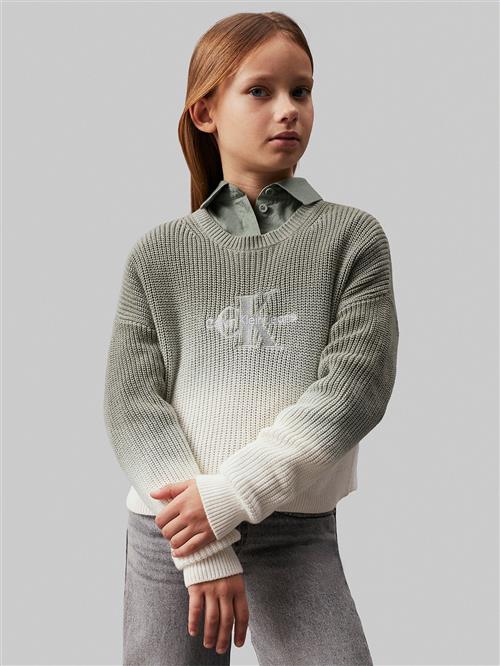 Se Calvin Klein Monogram Gradient Sweater Str 16 år - 0id Sweatshirts hos Magasin ved Magasin