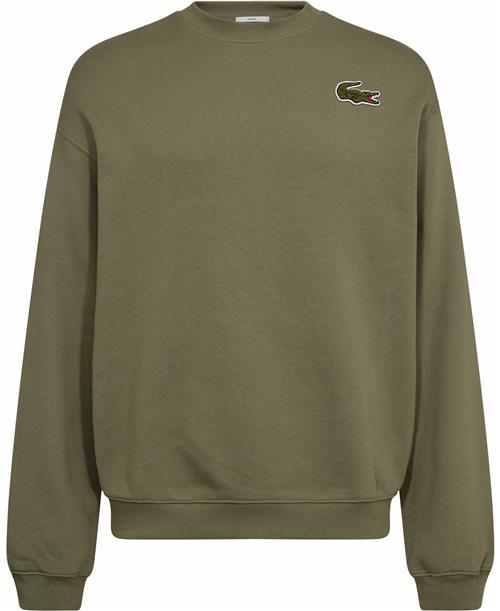 Lacoste Sweatshirt Mand Khaki Sweatshirts Str L - Bomuld hos Magasin