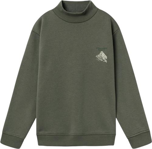 Name It Nkmnaskab LS Nreg Sweat BRU BOX Str 116 - Tea Leaf Sweatshirts hos Magasin