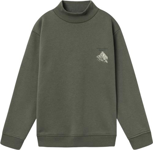 Name It Nkmnaskab LS Nreg Sweat BRU BOX Str 122/128 - Tea Leaf Sweatshirts hos Magasin