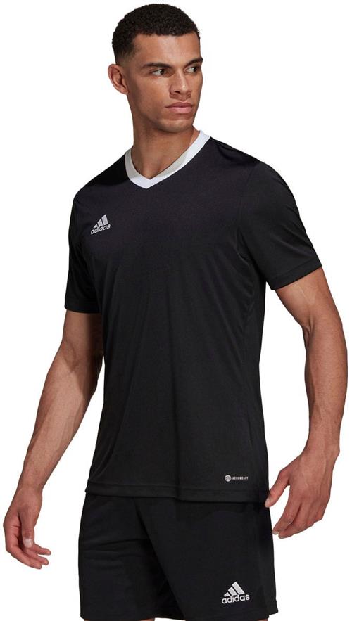 Se adidas Entrada 22 Tshirt XL - T-shirts hos Magasin ved Magasin