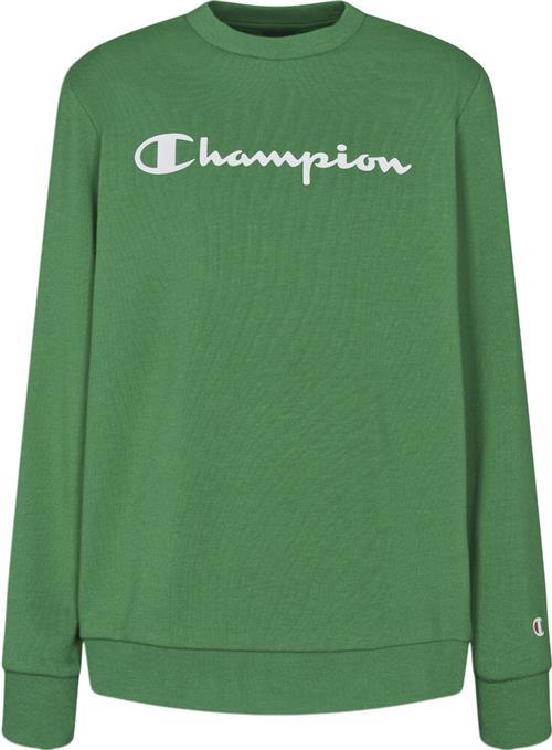 Champion Sweatshirt M - Sweatshirts hos Magasin