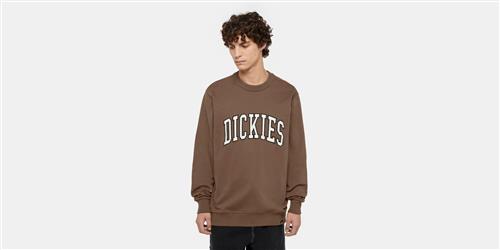 Se Dickies Aitkin Sweatshirt Mushroom/cloud Mand Mushroom/cloud Sweatshirts Str S - hos Magasin ved Magasin