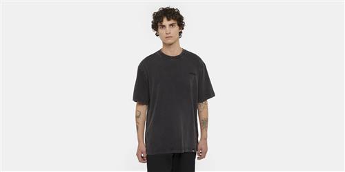 Dickies Plentywood TEE SS Dble Dye/acid WAS Mand Dble Dye/acd Bl Kortærmede T-shirts Str M - hos Magasin