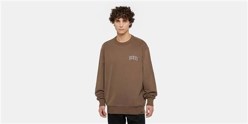 Dickies Aitkin Chest Sweatshirt Mushroom/cl Mand Mushroom/cloud Sweatshirts Str S - hos Magasin