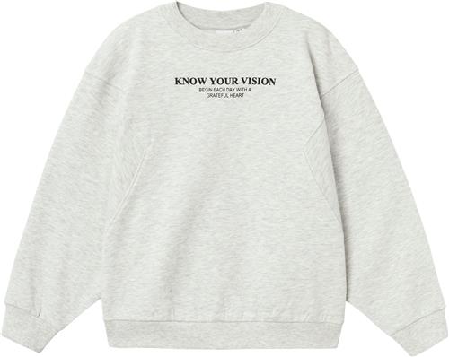 Se Name It Nkfnakonni LS RLX Sweat BRU Str 116 - Grå Sweatshirts hos Magasin ved Magasin