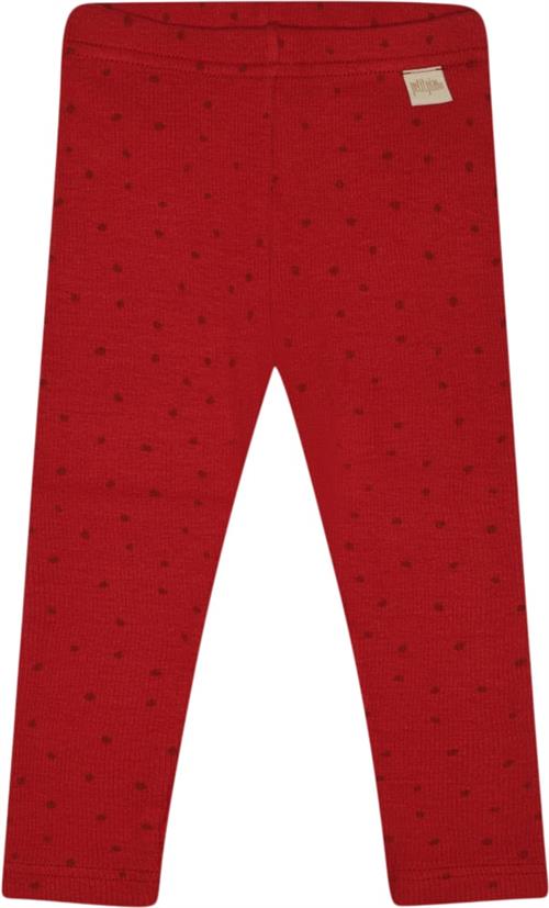 PETIT PIAO Legging Modal Dot Str 80 cm - Chili Pepper Dot Leggings Bomuld hos Magasin