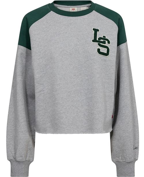 Se Levi's Graphic Campout Crew LS Monogr Kvinde Grå Sweatshirts Str S - hos Magasin ved Magasin