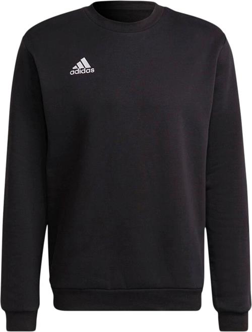 Se adidas Entrada 22 Sweatshirt S - Sweatshirts Bomuld hos Magasin ved Magasin