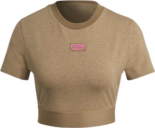 adidas Cropped TEE Kvinde Brown Toppe Str 42 - Bomuld hos Magasin