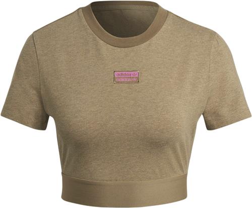 Se adidas Cropped TEE Kvinde Brown Toppe Str 36 - Bomuld hos Magasin ved Magasin