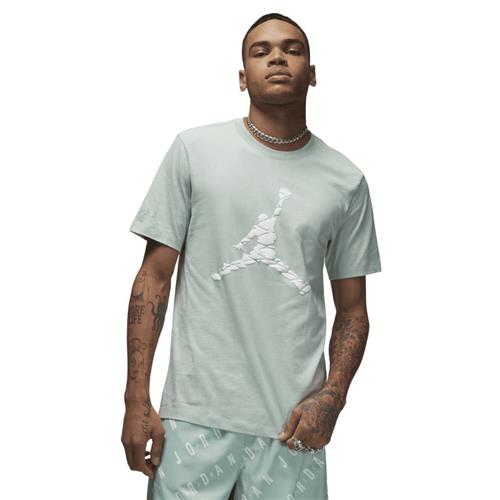 Se Nike Jordan Essentials Tshirt Mand Pistachio Frost/white Kortærmede T-shirts Str S - Bomuld hos Magasin ved Magasin