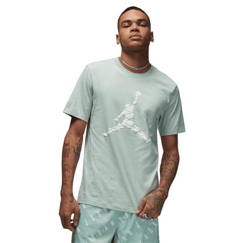 Se Nike Jordan Essentials Tshirt Mand Pistachio Frost/white Kortærmede T-shirts Str M - Bomuld hos Magasin ved Magasin