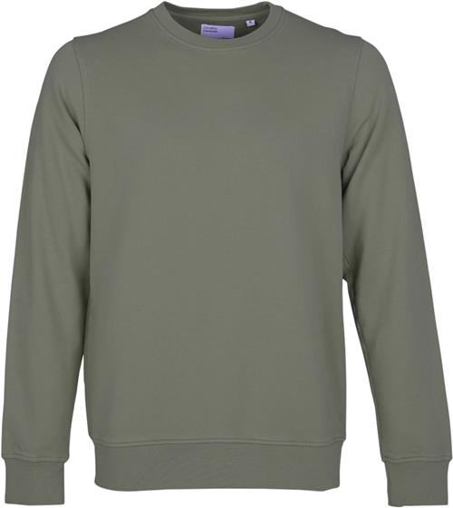 Colorful Standard Classic Organic Crew Mand Dusty Olive Sweatshirts Str XS - Bomuld hos Magasin