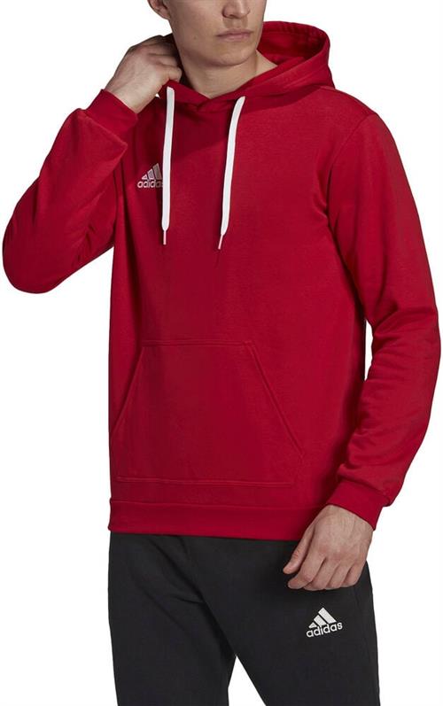 adidas Entrada 22 Sweat Hættetrøje XS - Hættetrøjer Bomuld hos Magasin