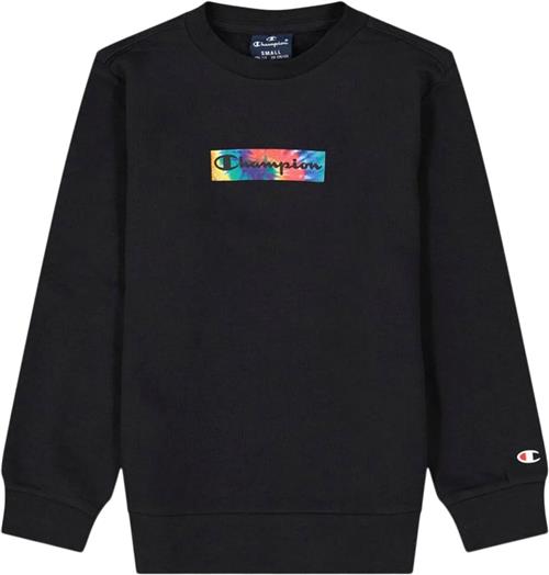 Champion Tiedye Script Logo Sweatshirt L - Sweatshirts hos Magasin