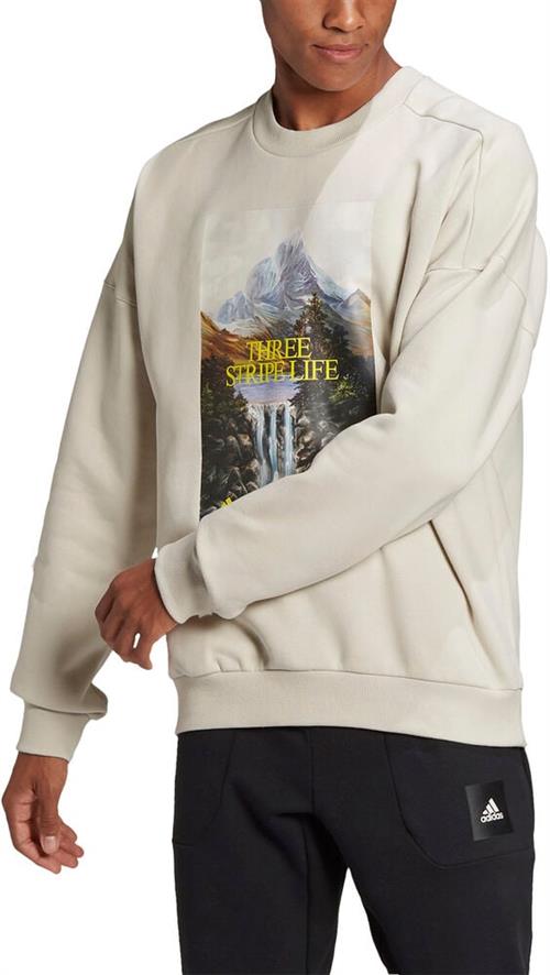 adidas Adidas Sportswear Mountain Graphic Trøje L - Sweatshirts Bomuld hos Magasin