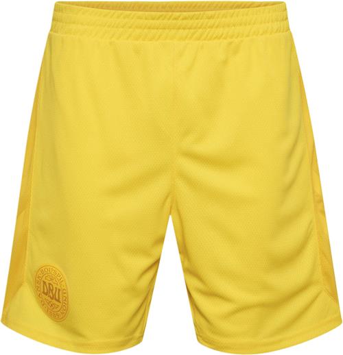 Hummel DBU Danmark Målmandsshorts 22 164 - Træningsshorts hos Magasin