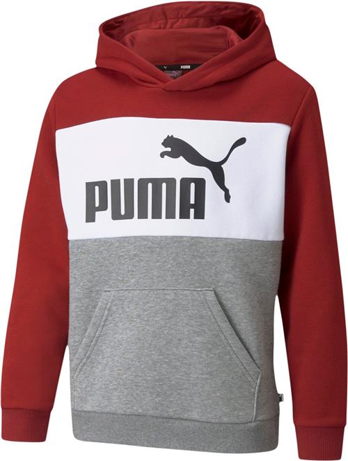 Se Puma Essentials+ Colourblock Hættetrøje 98 - Sweatshirts & Hættetrøjer hos Magasin ved Magasin