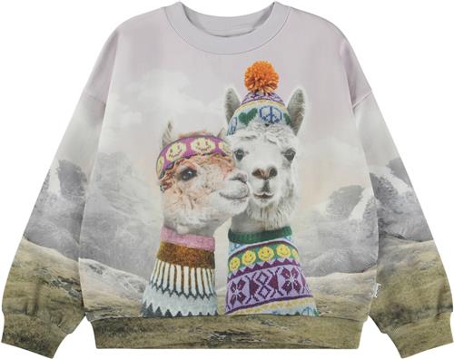 Se Molo Maxi Str 2 år / 92 cm - Two Lhamas Sweatshirts Bomuld hos Magasin ved Magasin