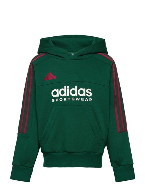 J Np Hoodie Adidas Sportswear Green