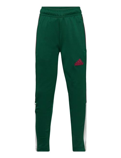 J Np Tiro Pant Adidas Sportswear Green