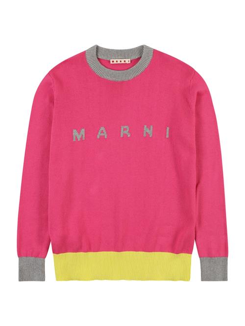 Se Marni Pullover  lemon / grå-meleret / fuchsia ved About You