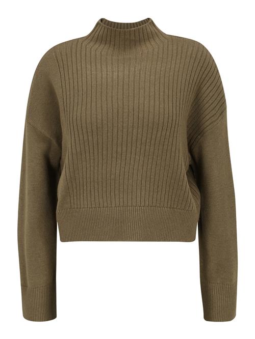 River Island Petite Pullover  oliven