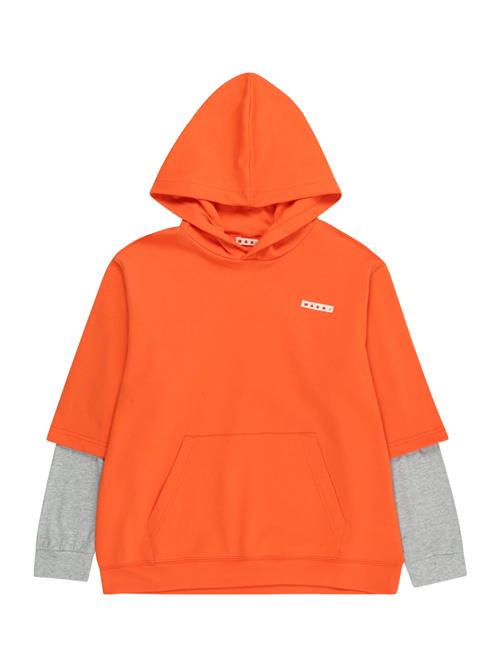 Marni Sweatshirt  grå-meleret / orange