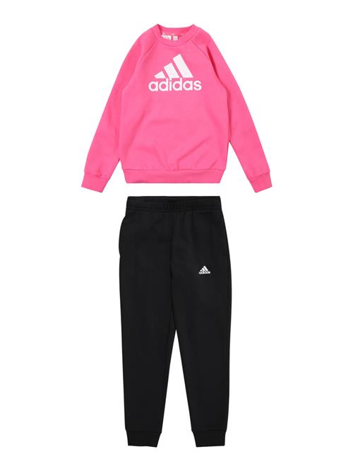 ADIDAS SPORTSWEAR Træningsdragt  magenta / sort / hvid