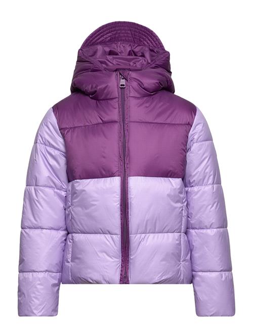 Champion Hooded Jacket Champion Purple