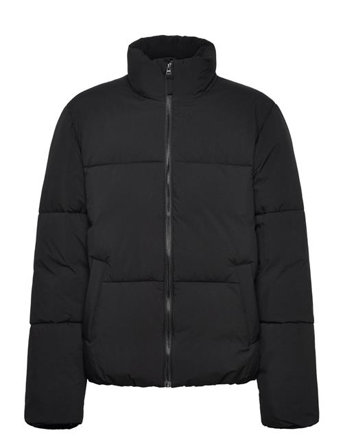 Puffer Jacket Tom Tailor Black