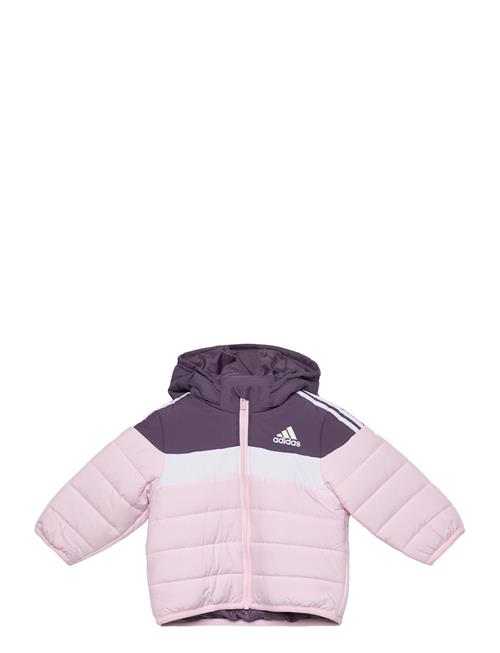 adidas Sportswear In F Pad Jkt Adidas Sportswear Purple