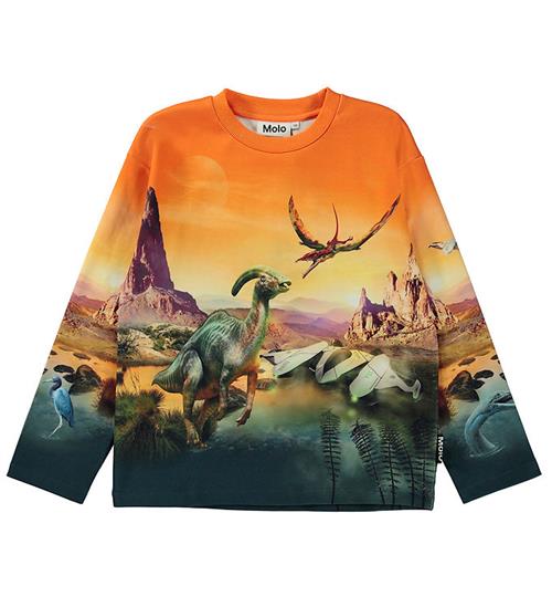 Se Molo Bluse - Mountoo - Dino Planet ved KidsWorld