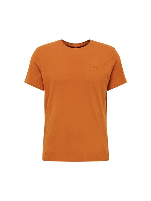 BLEND Bluser & t-shirts 'Dinton'  okker