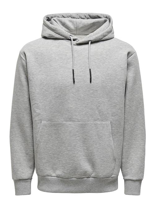 ONLY & SONS Onsceres Hoodie Sweat Noos ONLY & SONS Grey