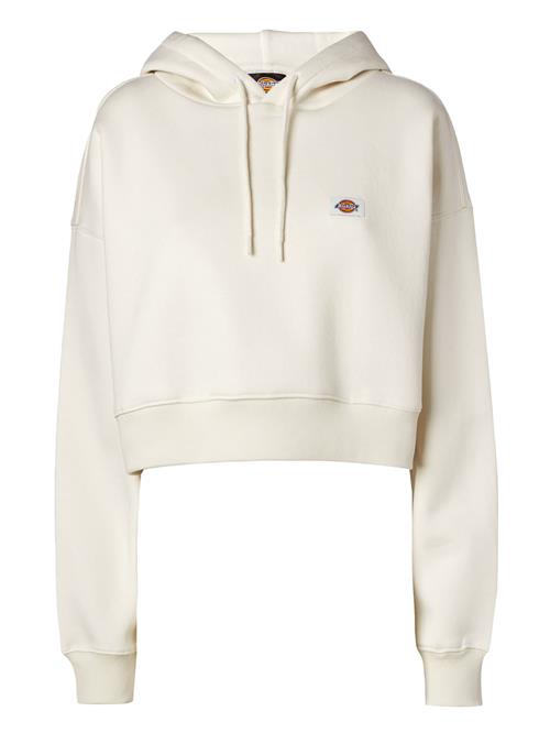 Se DICKIES Sweatshirt 'Oakport'  orange / rød / hvid ved About You