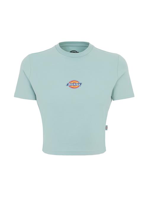 Se DICKIES Shirts 'MAPLE VALLEY'  blå / turkis / gul / rød / hvid ved About You