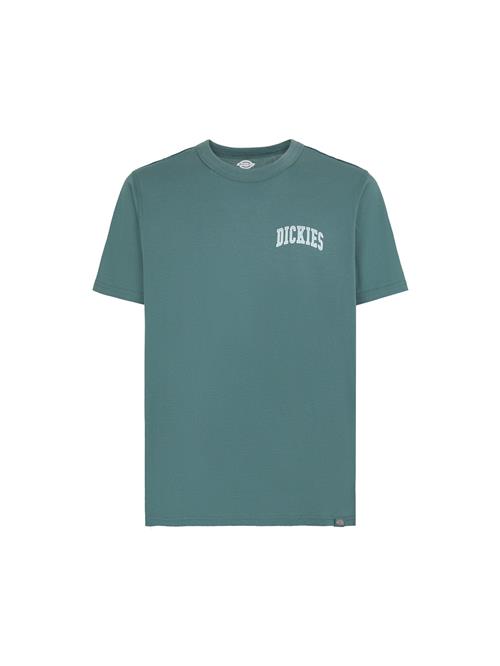 DICKIES Bluser & t-shirts 'AITKIN'  mint / jade / hvid