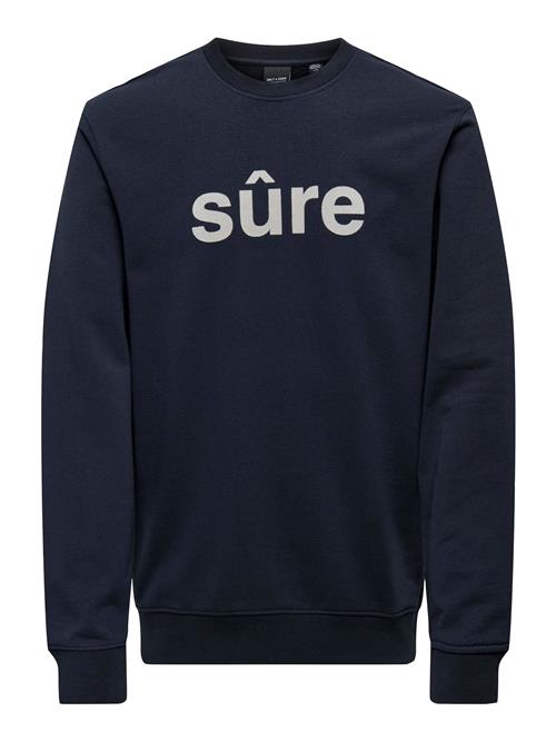 Only & Sons Sweatshirt 'KARTER'  navy / lysegrå