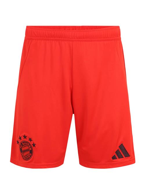 ADIDAS PERFORMANCE Sportsbukser 'FC Bayern 24/25 Home'  orangerød / sort