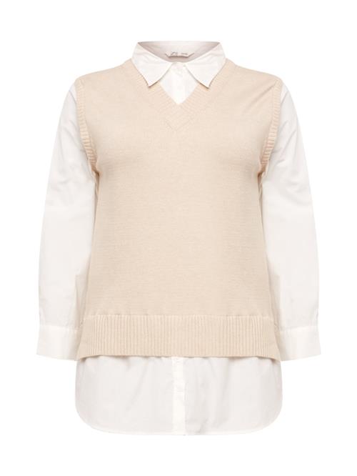 Se Z-One Pullover 'Elke'  beige / naturhvid ved About You