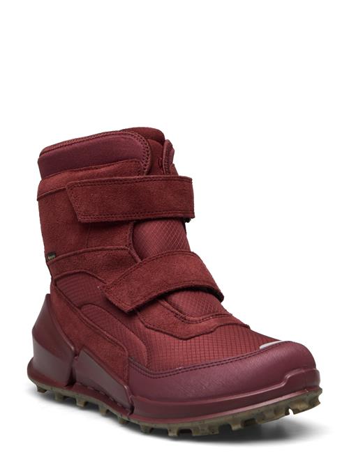 Se ECCO Biom K2 ECCO Red ved Booztlet