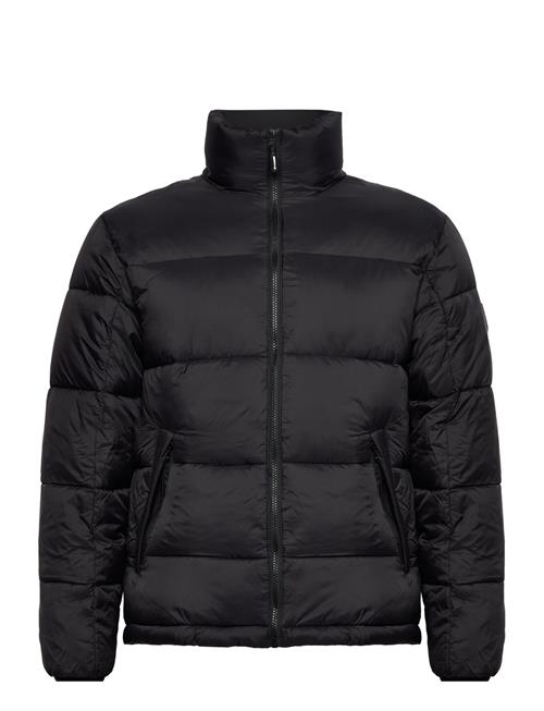 Lindbergh Padded Jacket With Standup Collar Lindbergh Black