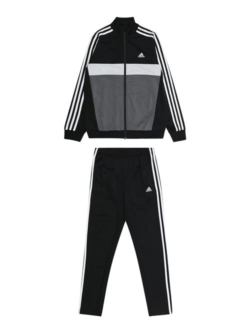 Se ADIDAS PERFORMANCE Træningsdragt 'Essentials Tiberio'  mørkegrå / sort / hvid ved About You