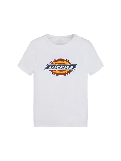 DICKIES Shirts  blå / orange / rød / hvid