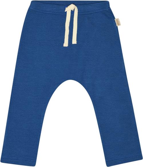 PETIT PIAO Pants Modal Str 98 cm - Deep Cobalt Bukser Bomuld hos Magasin