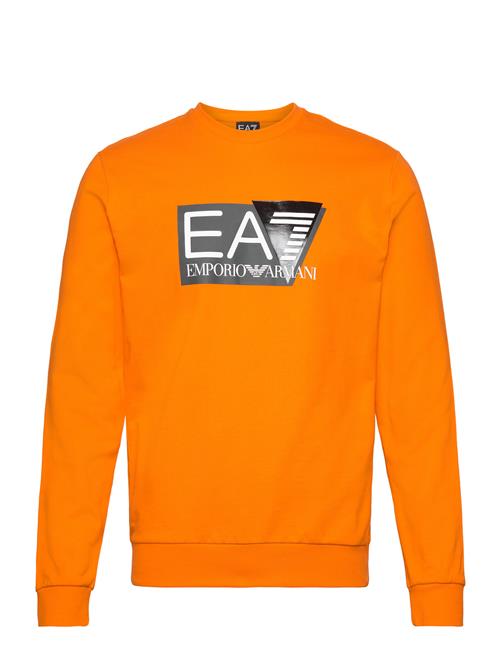 Se EA7 Sweatshirts EA7 Orange ved Booztlet