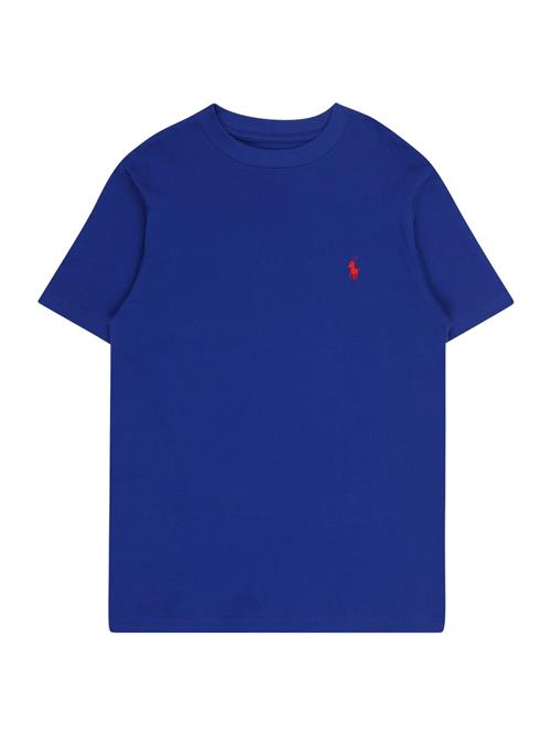 Polo Ralph Lauren Shirts  blå / rød