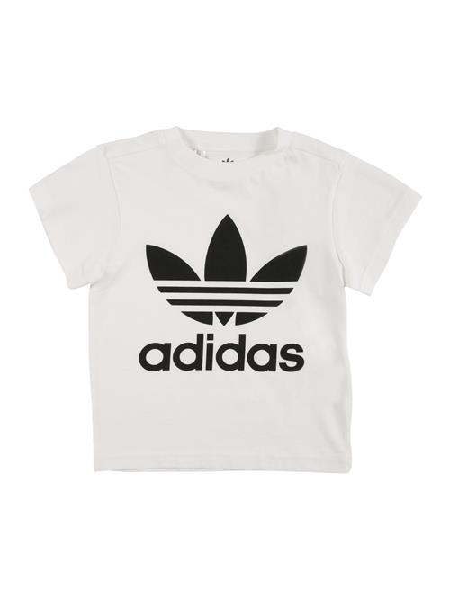 ADIDAS ORIGINALS Shirts 'Adicolor Trefoil'  sort / hvid